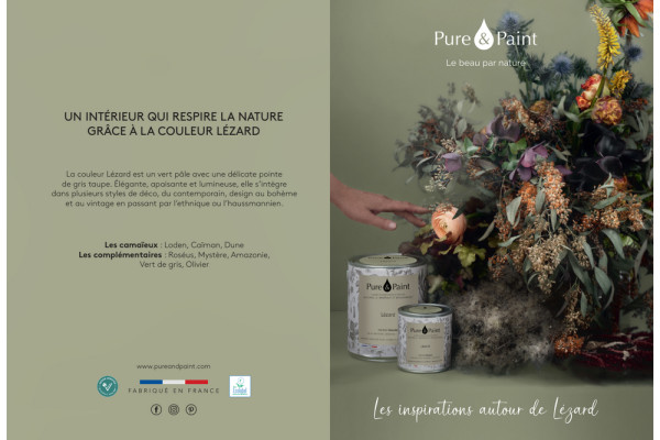 Naturelles substances : Peintures Pure & Paint coloris Lezard